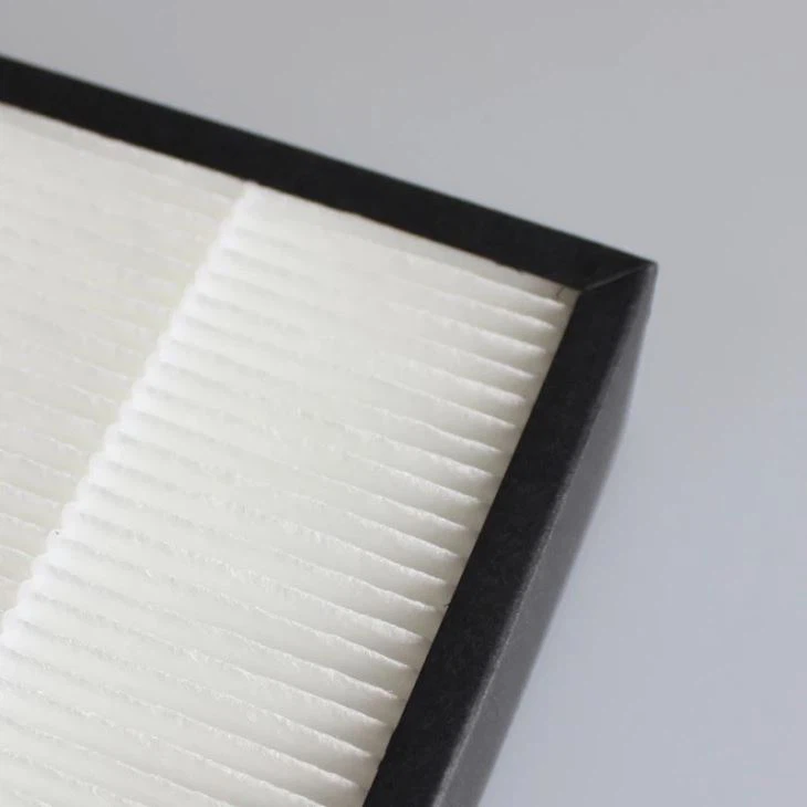 High Efficiency Particulate Air Filter HEPA