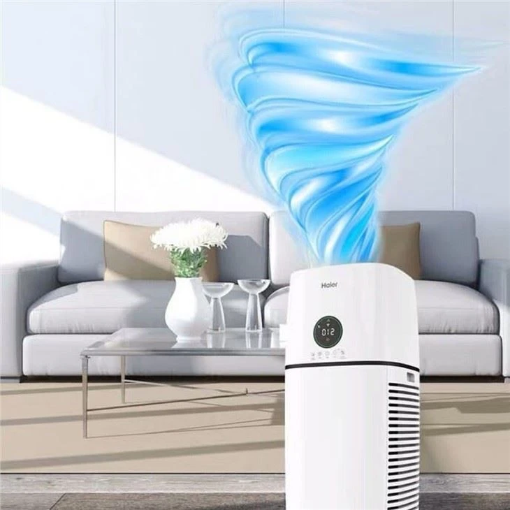 BKJ-500 Anion Generator Home Air Purifier HEPA Filter