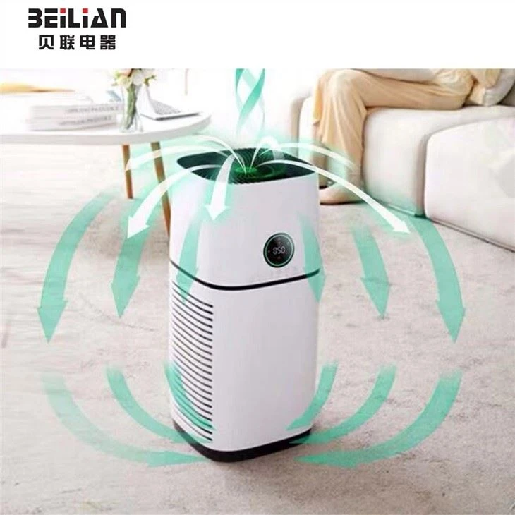 BKJ-500 Anion Generator Home Air Purifier HEPA Filter