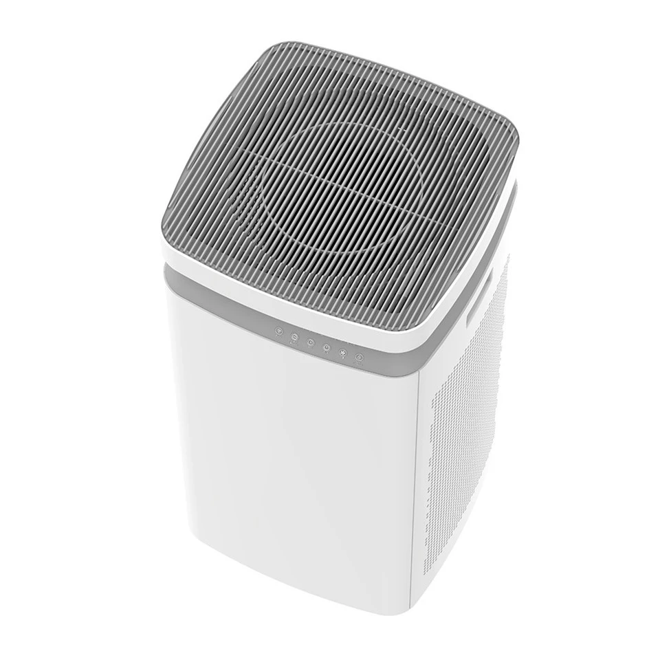 BKJ-90 APP Control Commerical Air Purifier factory