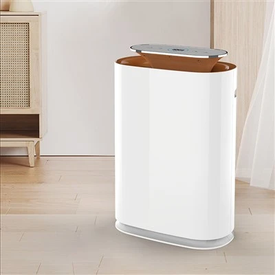 BKJ-300A Room Luftrenser med PM2.5 Luftkvalitetsdisplay